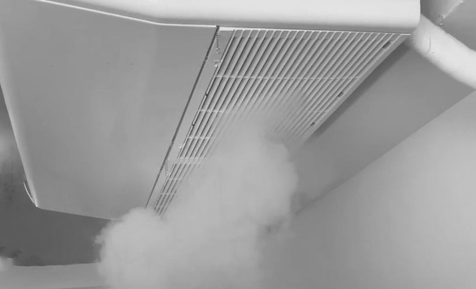 株式会社GSコーポレーション バクタクリーン ナチュラルナノミスト